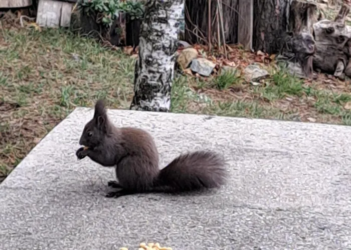 Διαμέρισμα Hanna